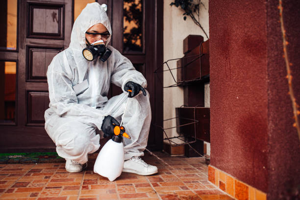 Reliable Cockroach Control contractor in Angleton, TX by Nex Pest Control